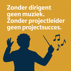 externe ERP projectleider